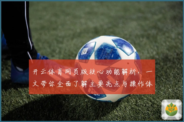 开云体育网页版核心功能解析，一文带你全面了解主要亮点与操作体验