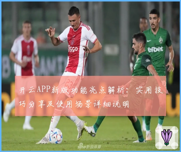 开云APP新版功能亮点解析：实用技巧分享及使用场景详细说明
