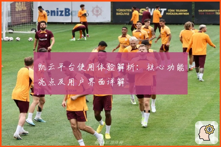 凯云平台使用体验解析：核心功能亮点及用户界面详解