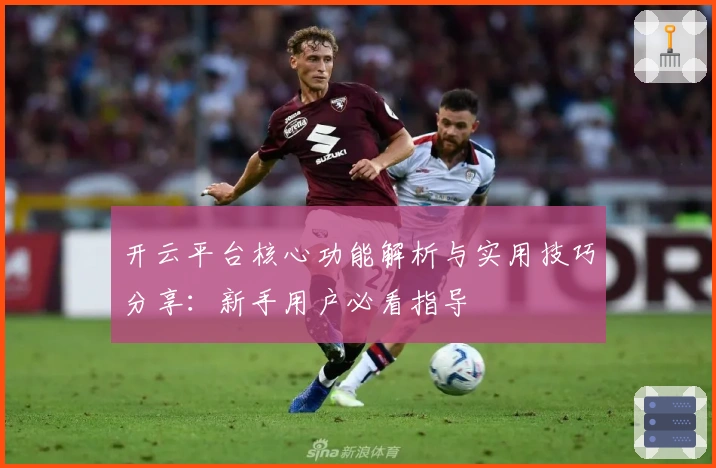 开云平台核心功能解析与实用技巧分享:新手用户必看指导