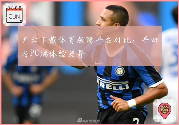 开云下载体育版跨平台对比，手机与PC端体验差异